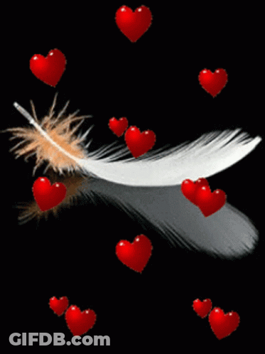White Feather With Red Hearts GIF