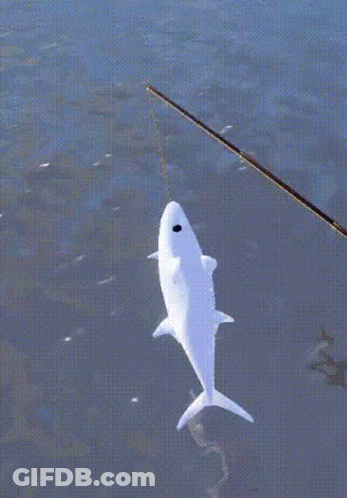 White Fish Caught On Fishing Rod GIF