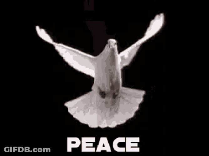 White Flag Flying Dove Symbol Of Peace GIF