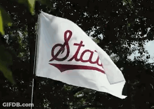 White Flag Saying Stau Waving GIF