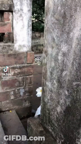 White Flower Between Two Brick Pillars In Cemetery GIF