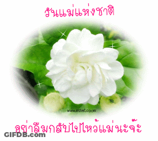 White Flower Green Leaves Www.mhs1.com GIF