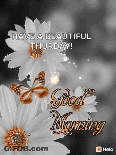White Flowers Butterflies Thursday Morning GIF