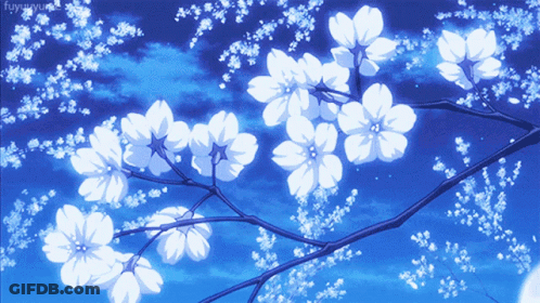White Flowers On Tree Branch GIF
