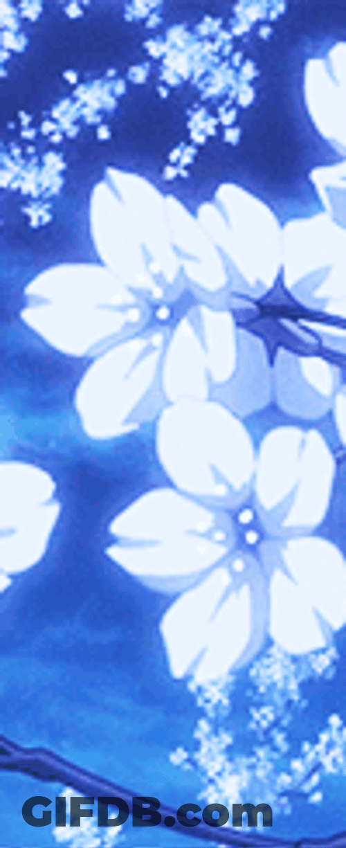 White Flowers With Blue Background GIF