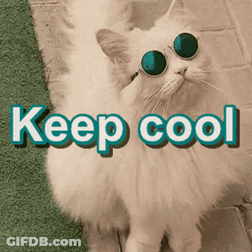 White Fluffy Cat Keep Cool GIF