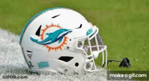 White Football Helmet With Dolphin On Field GIF