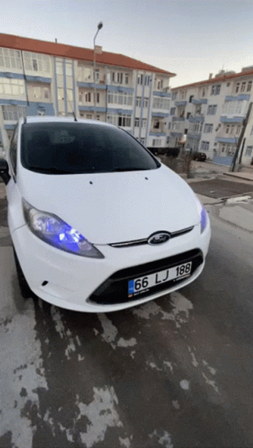 White Ford Being Cute GIF