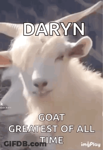 White Goat With Horns Daryn Goat Greatest Of All Time GIF