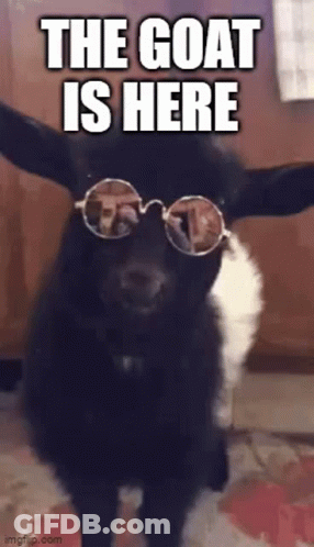 White Goat With Horns Facts GIF