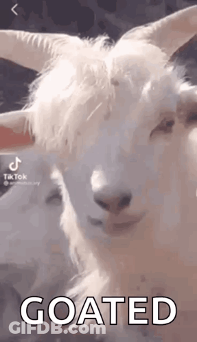 White Goat With Horns Saying Goated GIF