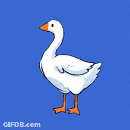 White Goose With Orange Beak GIF