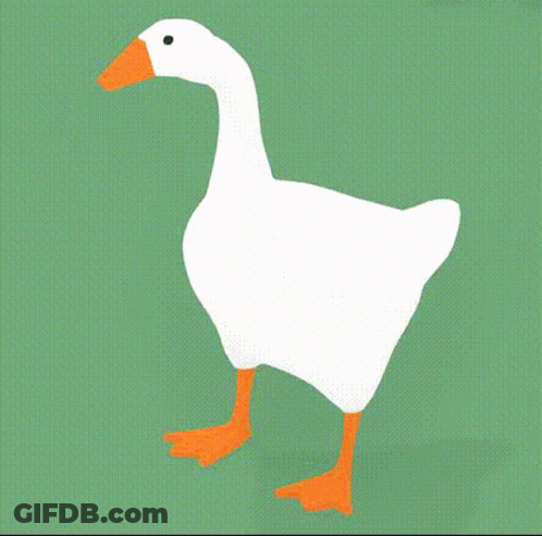 White Goose With Orange Feet Shouting GIF
