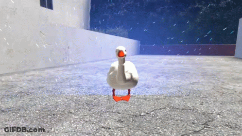 White Goose With Red Feet Standing On Concrete Floor GIF