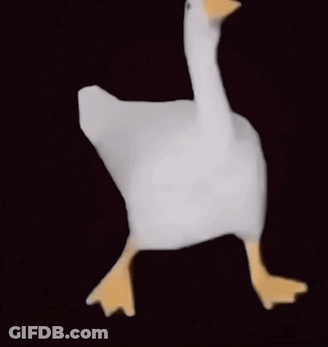 White Goose With Yellow Beak And Legs Walking GIF