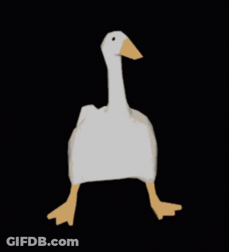 White Goose With Yellow Beak Running GIF