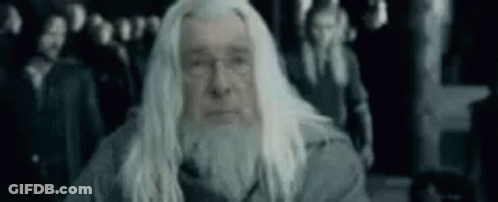 White-Haired Bearded Man Before Crowd GIF