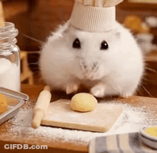 White Hamster In Chef Hat Beside Cutting Board GIF