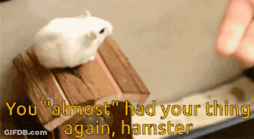 White Hamster Sitting On Wooden Box Saying You Almost Had Your Thing Again GIF
