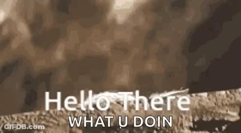 White Hello There What U Doin GIF