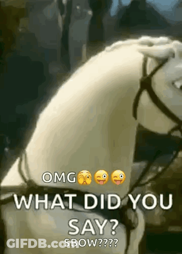 White Horse Asking What Did You Say GIF