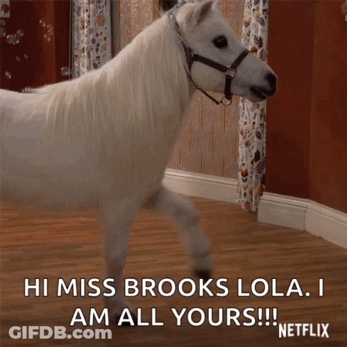 White Horse Neigh At Brooks Lola's Door GIF
