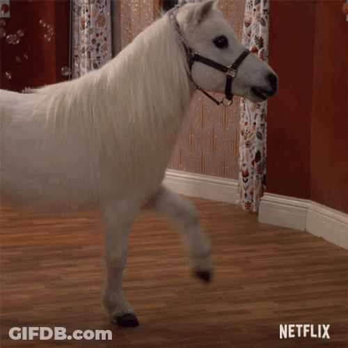 White Horse Neigh Scratching Feet GIF
