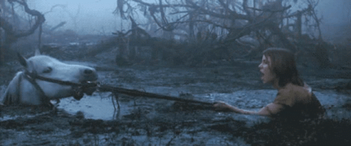 White Horse Stuck In Quicksand GIF