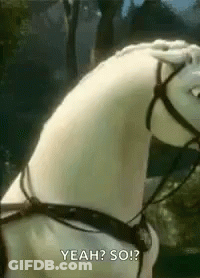 White Horse With Black Bridle GIF