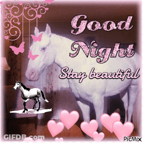 White Horse With Good Night Stay Beautiful GIF
