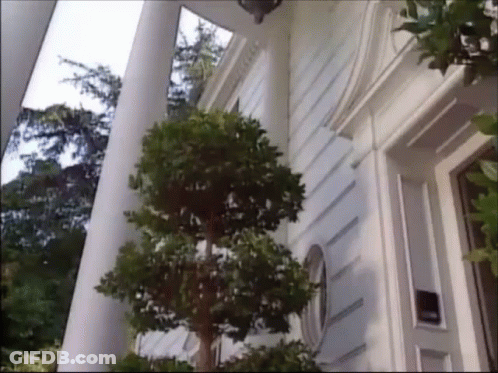 White House With Columns And Trees GIF