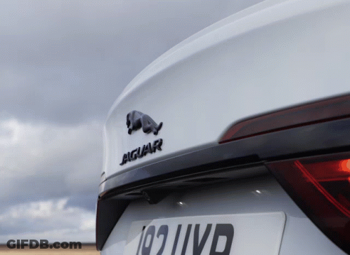 White Jaguar Back With License Plate 191 IVD GIF
