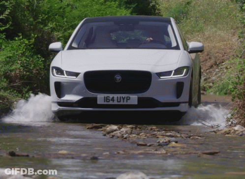 White Jaguar License Plate 164 UYP GIF