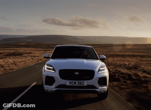 White Jaguar With License Plate VCM 262 GIF