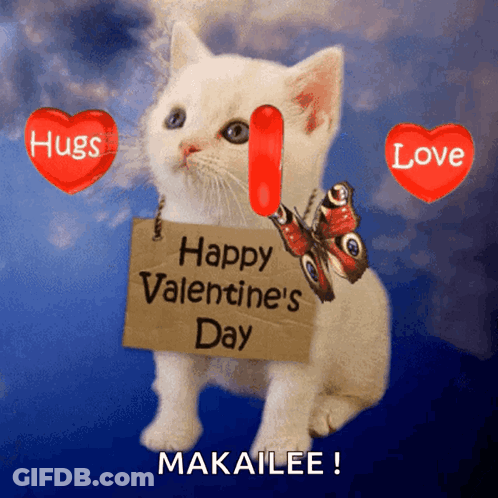 White Kitten Holding Happy Valentine's Day Makailee Sign GIF
