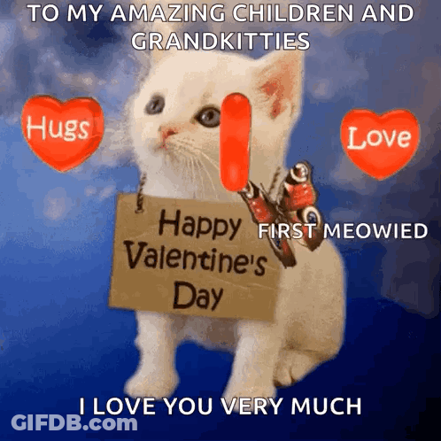 White Kitten Holding Happy Valentine's Day Sign GIF