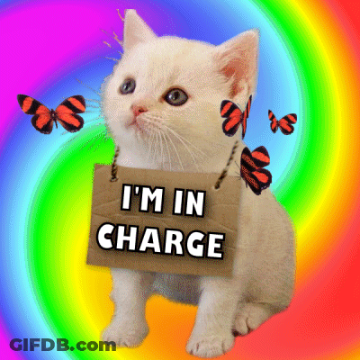 White Kitten Holding Sign Saying I'm In Charge GIF