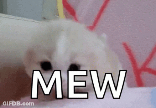 White Kitten Laying On Pink Blanket Saying Mew GIF