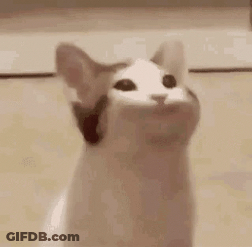 White Kitty Big Gaping Mouth GIF