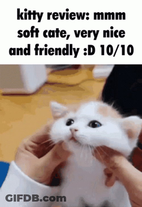 White Kitty Soft Cheek GIF