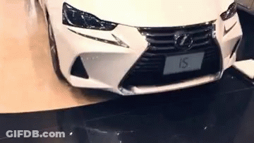 White Lexus Front End Parked GIF
