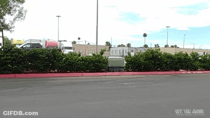 White Lowrider Cruising GIF