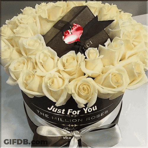 White Million Roses Just For You GIF