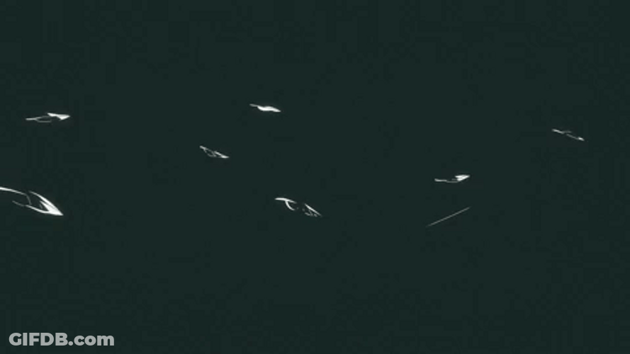 White Moth Paper Airplane GIF