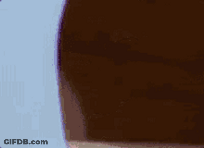 White Mouse Looking Around GIF