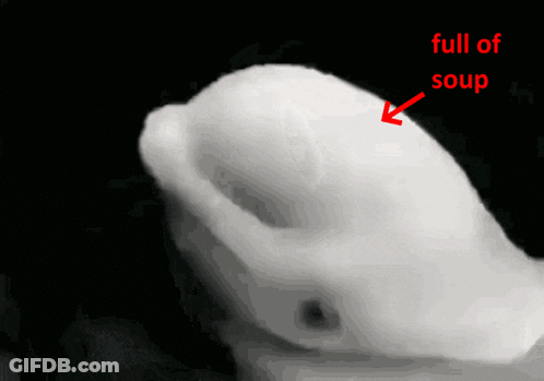 White Object With Red Arrow Pointing To Soup GIF