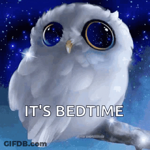 White Owl On Branch Saying It's Bedtime GIF