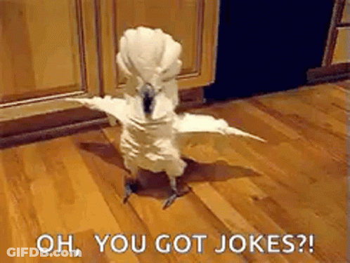 White Parrot Spreading Wings On Wooden Floor GIF