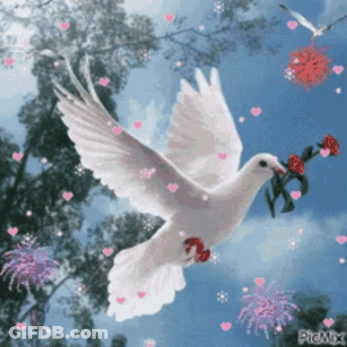 White Pigeon Flying With Hearts And Flowers GIF