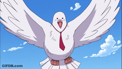 White Pigeon With Red Tie Flying GIF